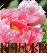 达州预示你财运上升，姻缘可成的梦境，快来看看吧！